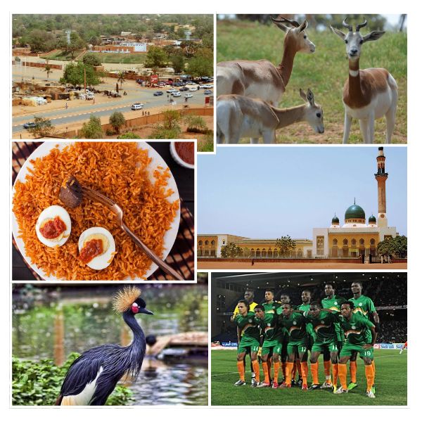 India Niger Business and Cultural Council - About Niger 