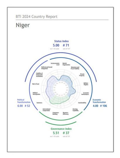 India Niger Business and Cultural Council - Report and Publication in BTI Country Report 2024